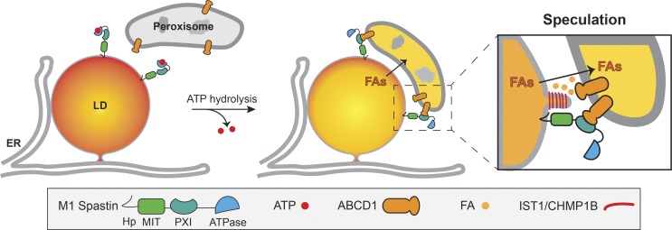 Figure 10.