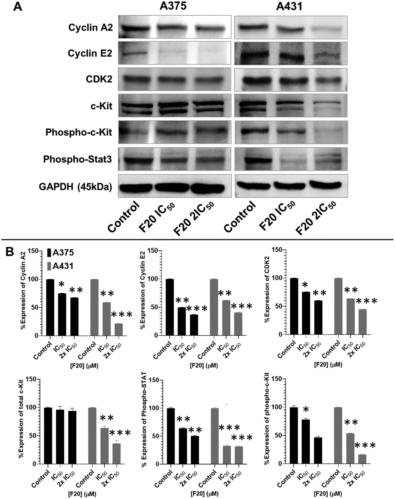 Figure 5: