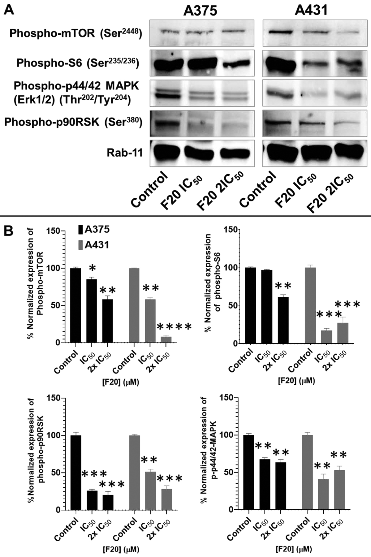 Figure 6: