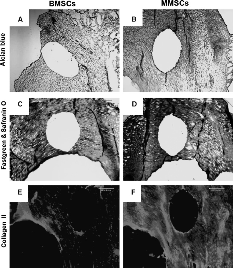 Fig. 10