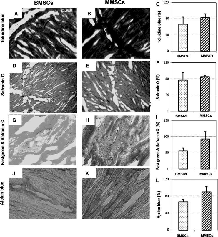 Fig. 11