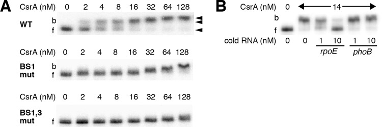 FIG 3