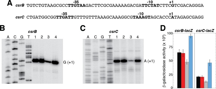 FIG 6