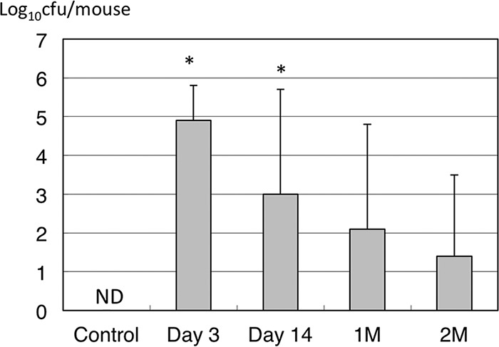 FIG 2