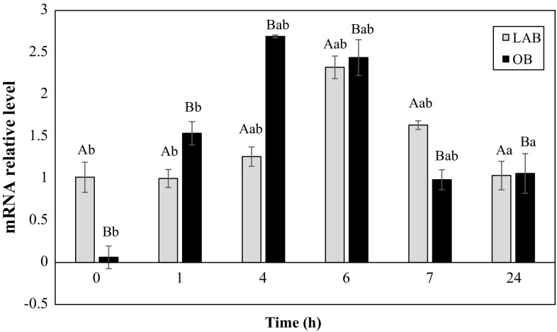 Fig. 3