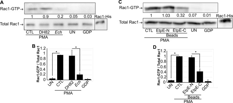 FIG 6