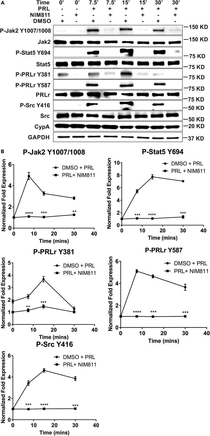 Figure 1