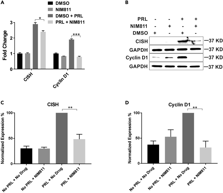 Figure 3