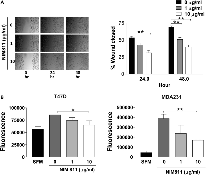 Figure 6