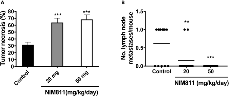 Figure 7