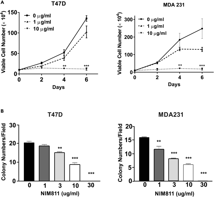 Figure 5