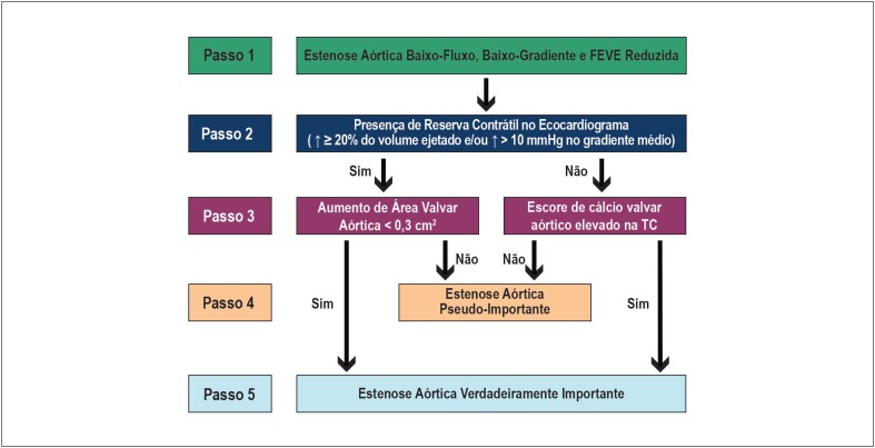 Figura 6