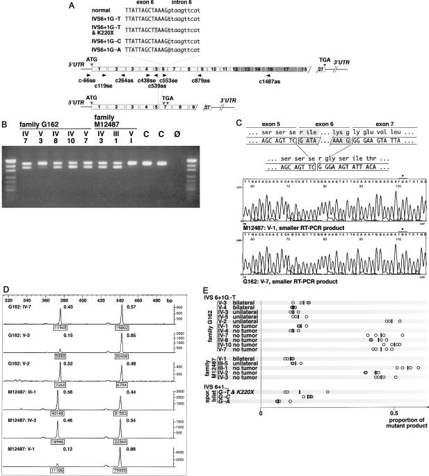 Figure  2