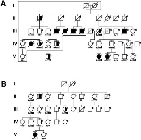 Figure  1