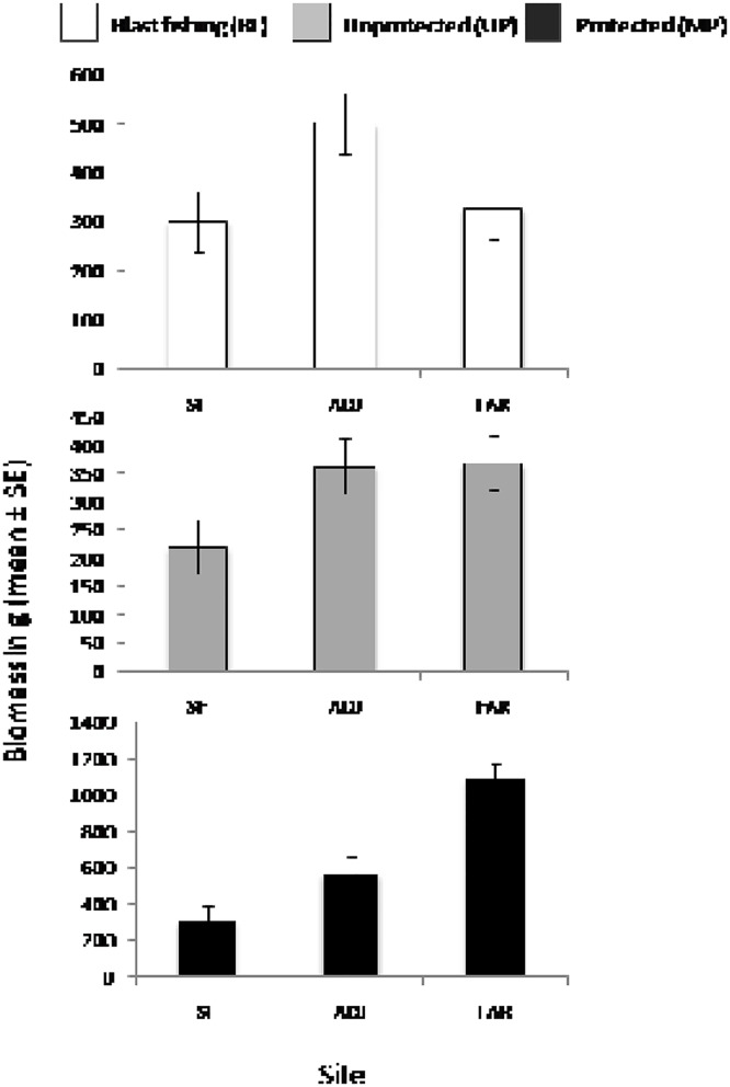 Fig 3