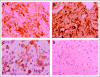 Fig 3.
