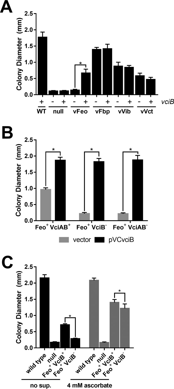 FIG 1