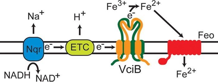 FIG 9