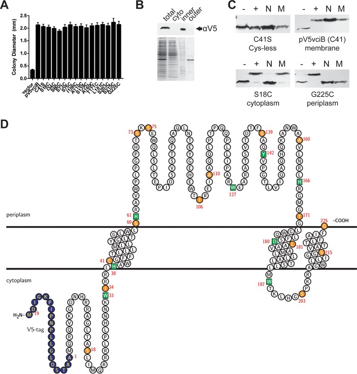 FIG 6