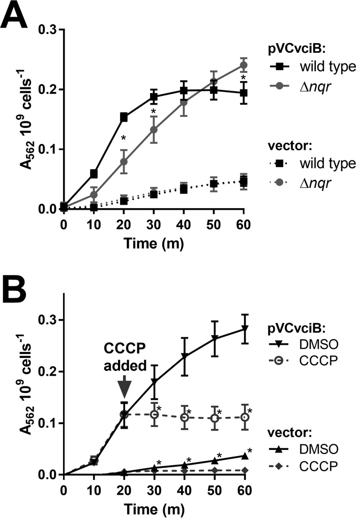 FIG 4