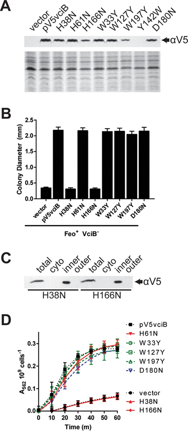 FIG 7