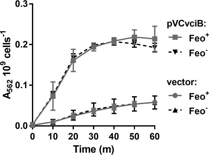 FIG 3