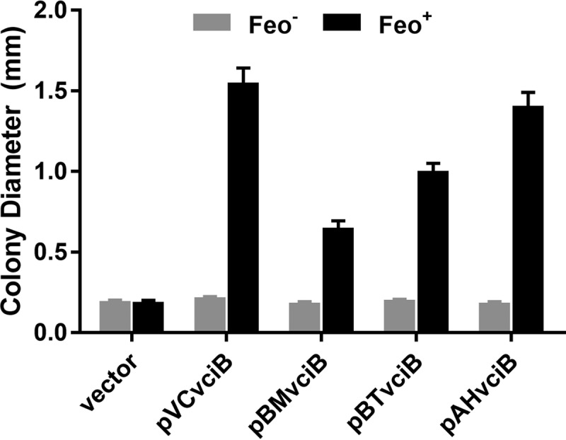 FIG 2