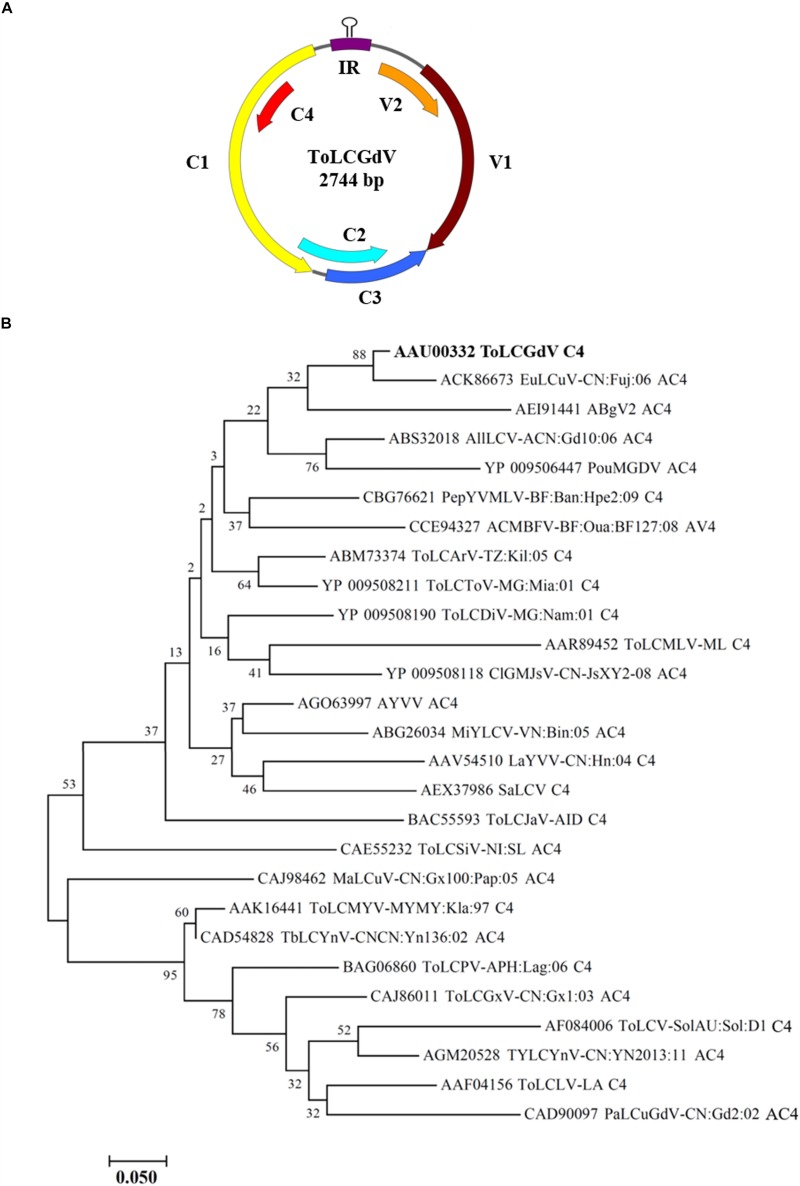 FIGURE 1