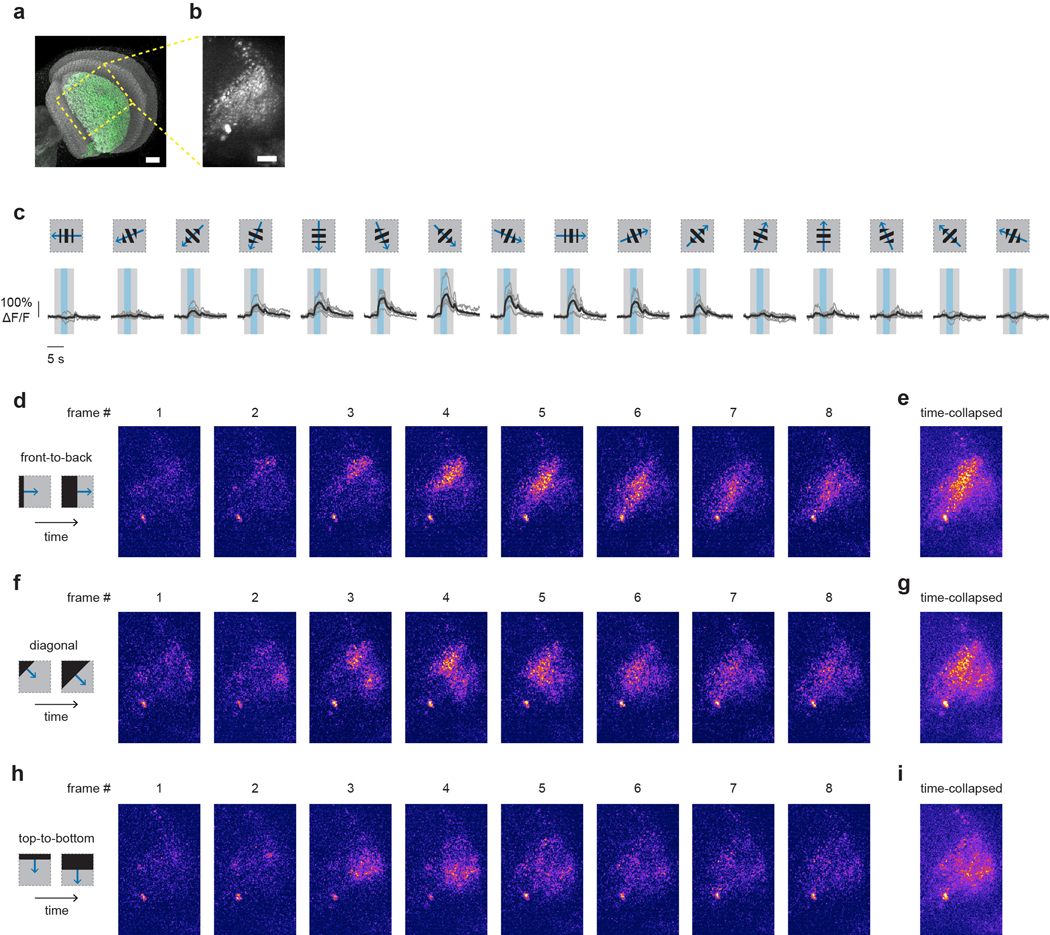 Extended data figure 6: