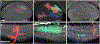 Extended data figure 9: