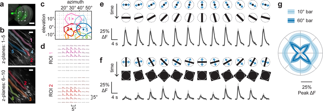 Figure 3: