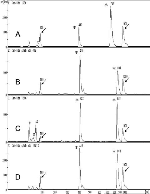 FIG. 1.