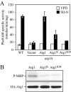 Figure 5.