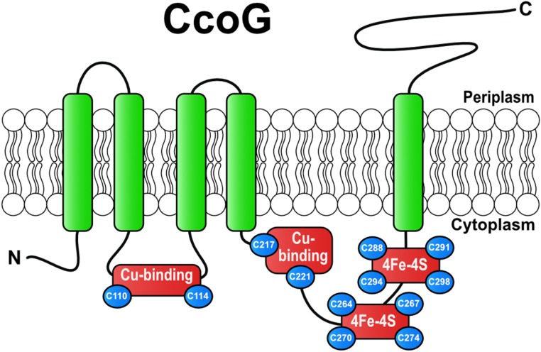 Fig. 1.