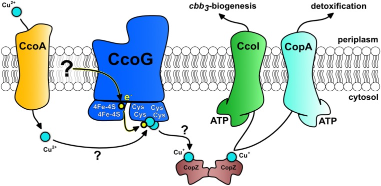 Fig. 7.