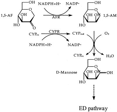 FIG. 8.