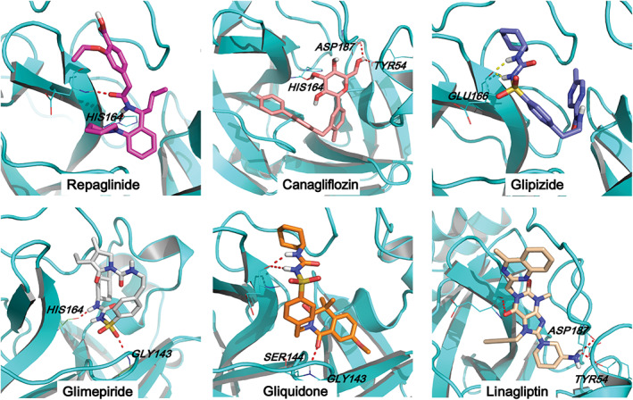 FIGURE 2