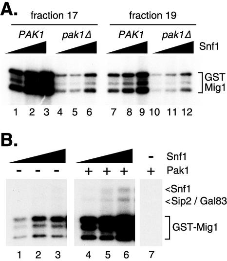 FIG. 5.