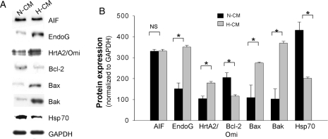 Figure 6