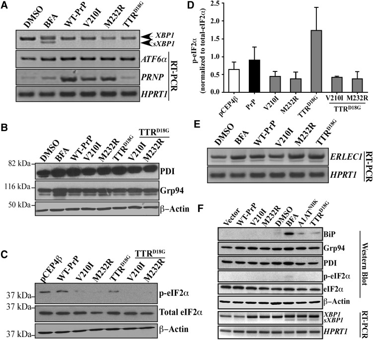 Figure 4.