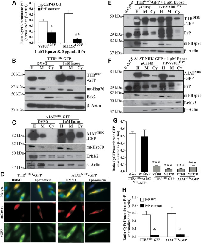 Figure 2.