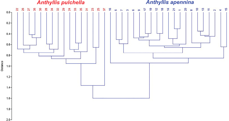 Figure 5.