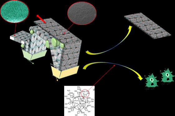 graphic file with name ao2c05321_0013.jpg