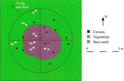 FIG. 1.