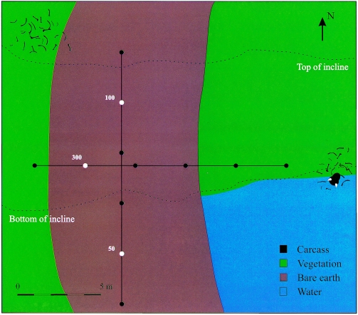 FIG. 2.