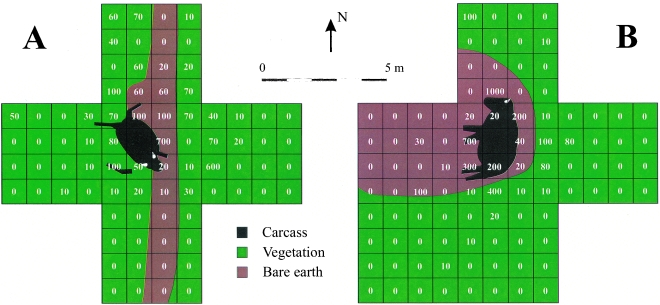 FIG. 3.