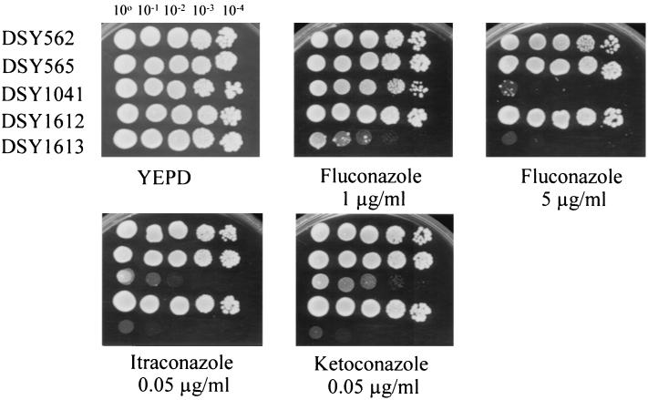 FIG. 4