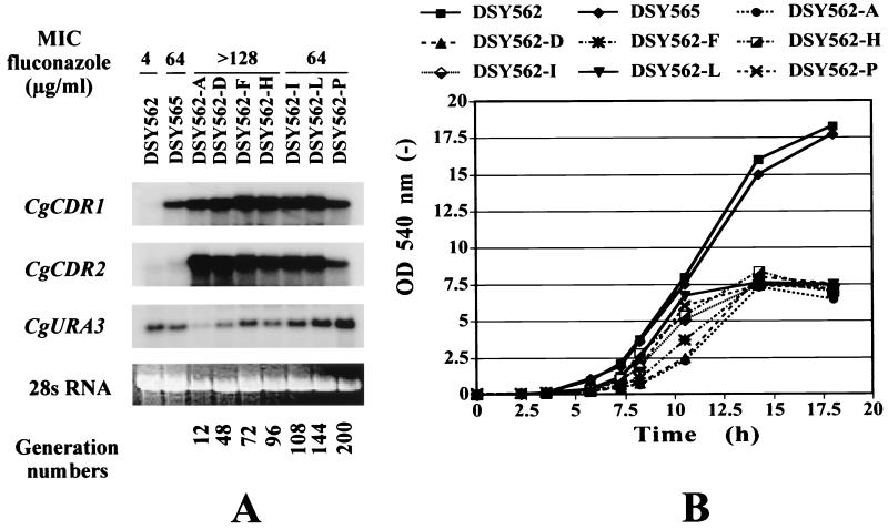 FIG. 6