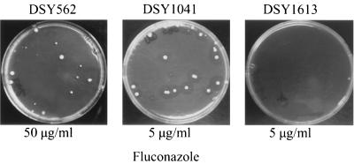 FIG. 1