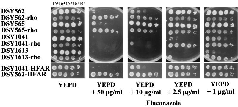 FIG. 8